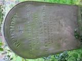 image of grave number 781313
